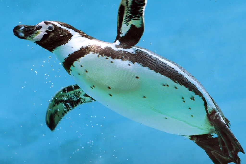 에마르 수족관 & 수중 동물원