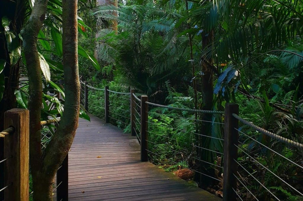 스카이레일 레인포레스트 케이블웨이 인바운드 반환