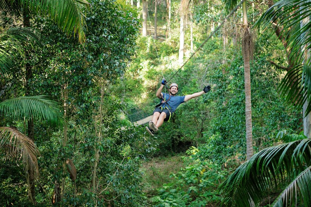 울창한 푸른 숲을 가로지르며 안전장비를 착용한 채 한 손으로 미소를 짓고 손을 흔드는 사람.