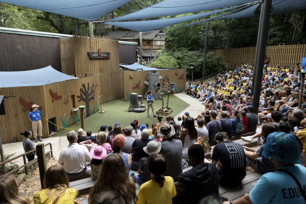 동물원에서 진행되는 야외 동물 공연으로 발표자가 무대에 서고 그늘진 천 아래 앉은 관객이 함께 합니다.