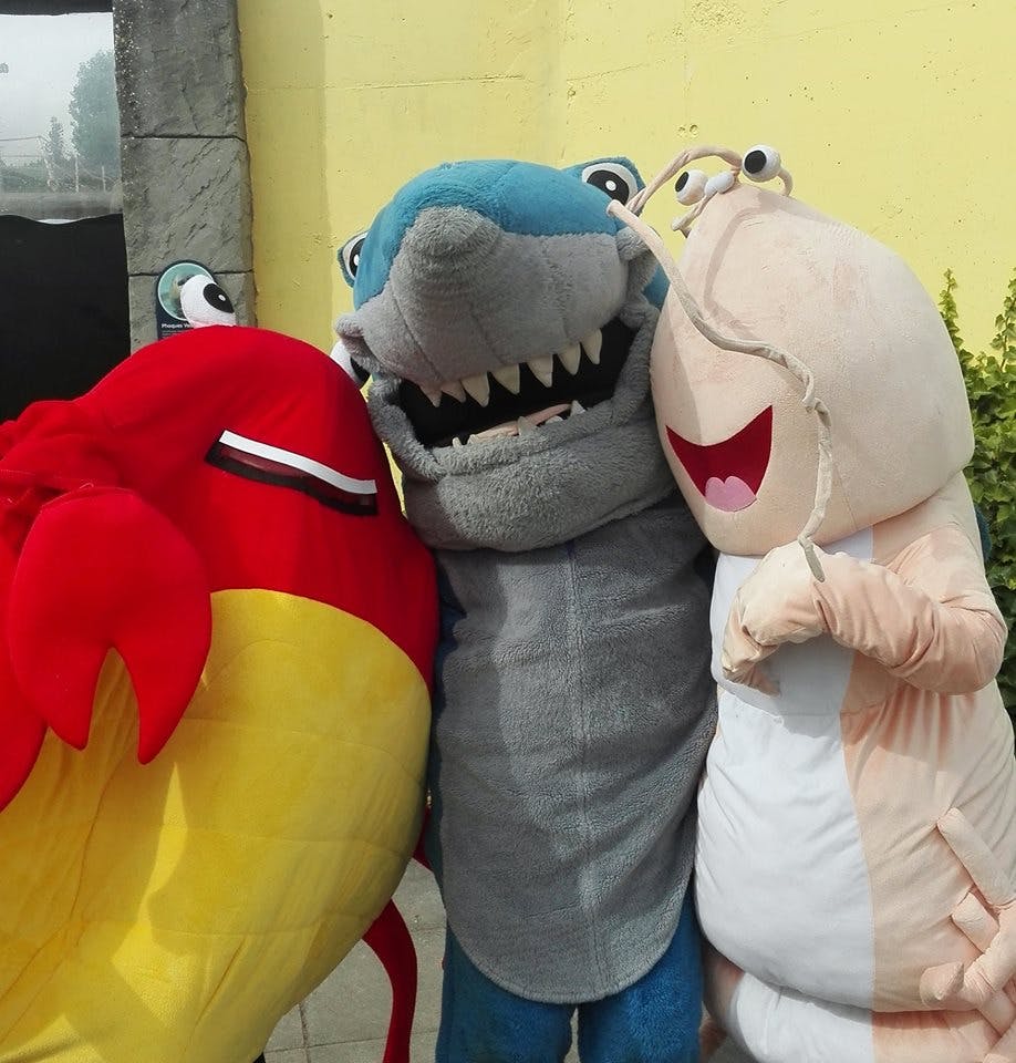 홍어, 상어, 새우 등 물고기와 바다 생물 의상을 입은 세 사람이 야외에서 함께 서 있습니다.