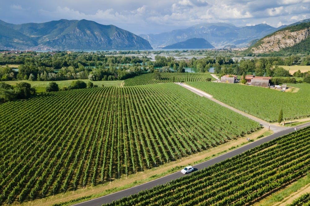 프란치아코르타 와인 지역