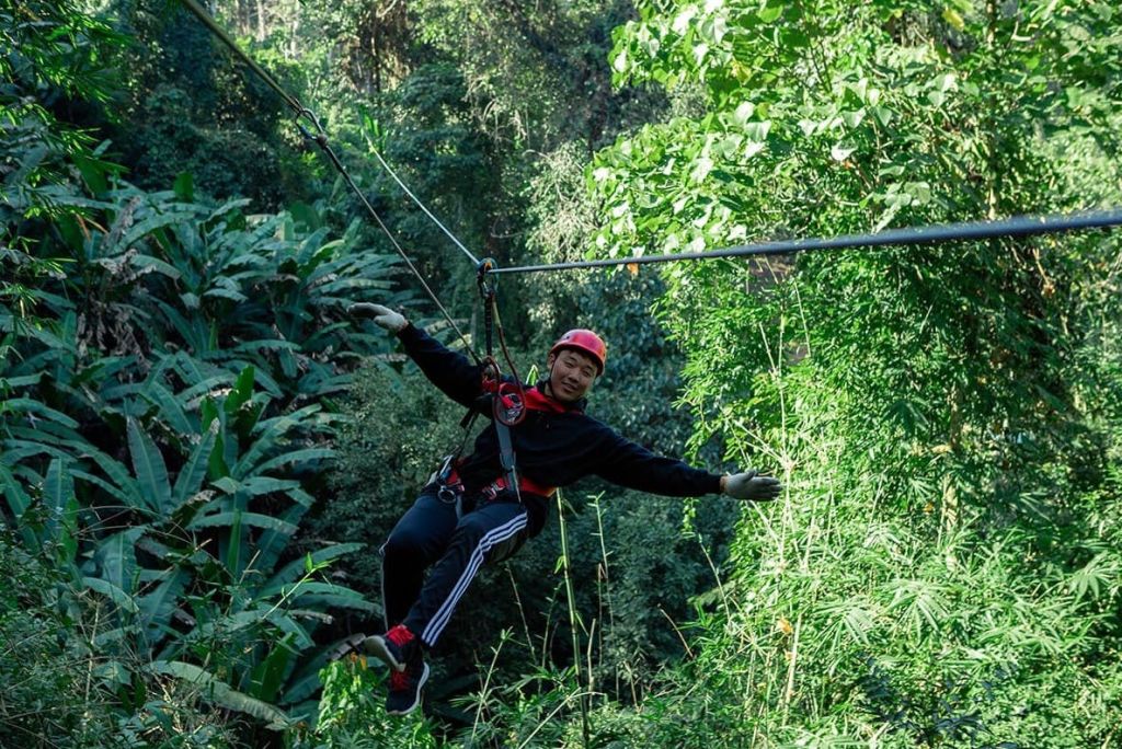 헬멧을 쓰고 울창한 숲을 가로지르는 하네스.