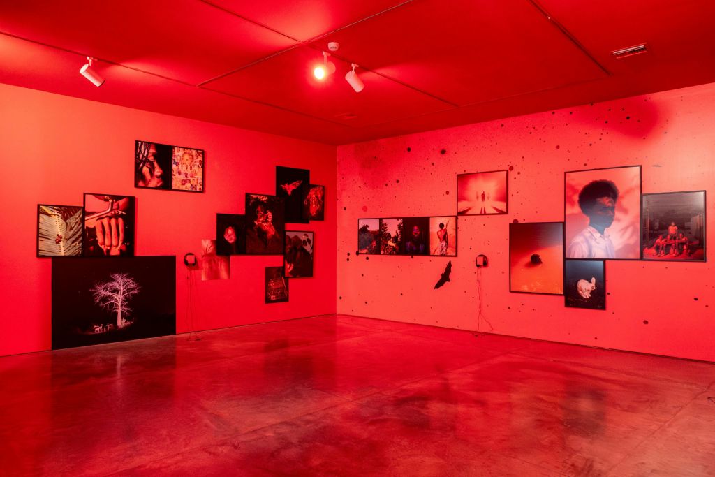 칼라봉고 전시회