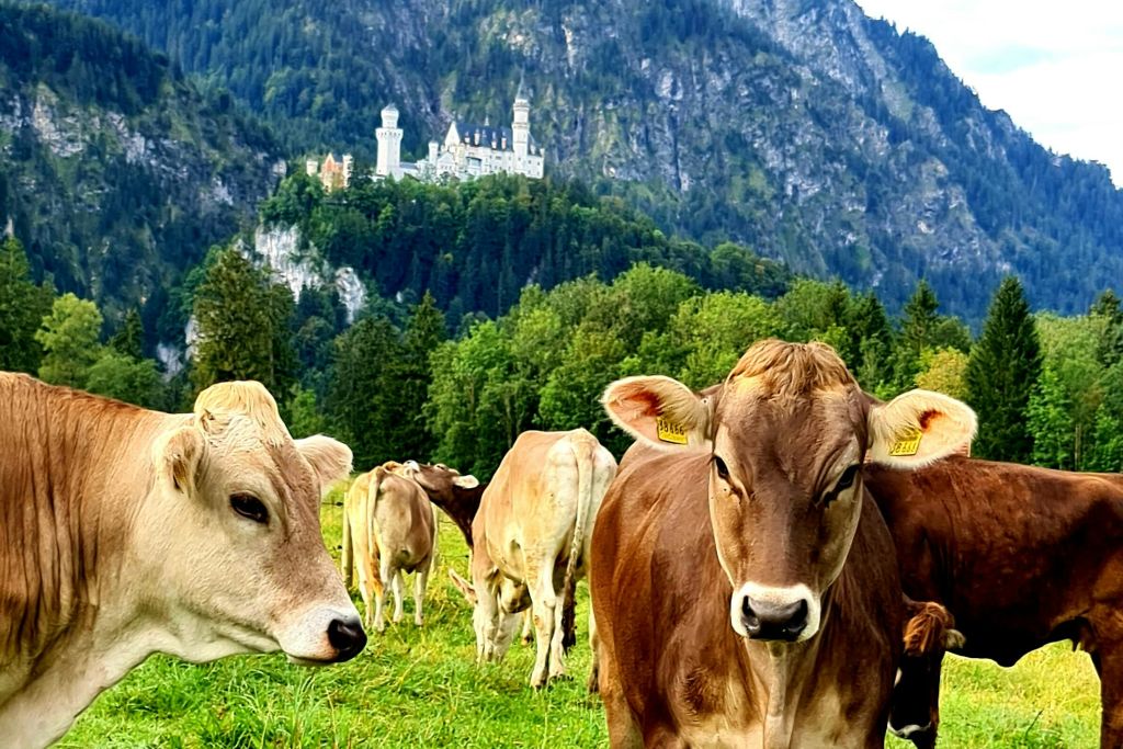 바이에른의 아름다움