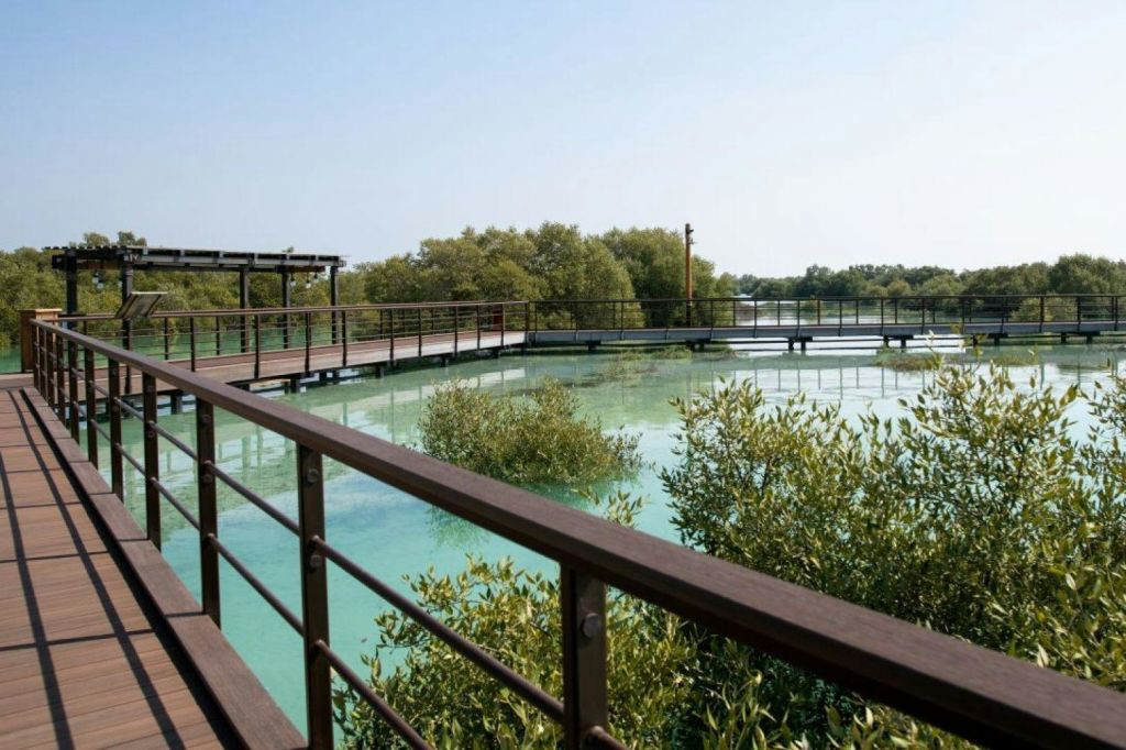 주베일 맹그로브 공원 - 보드워크 체험