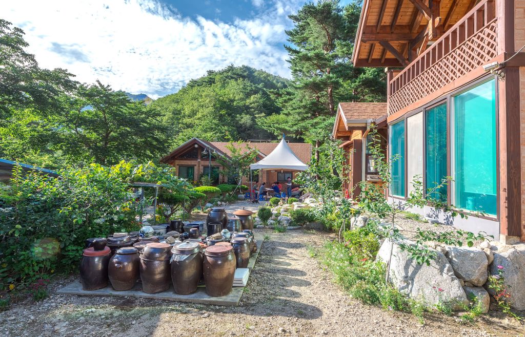 고성 소똥령가는길 경쟁 제품과 비교 이미지