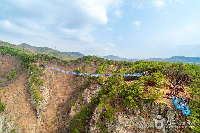 소금산 출렁 다리