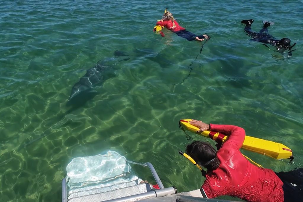 환상적인 만남.