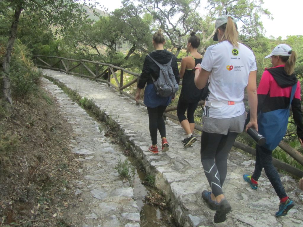 나무가 우거진 곳의 돌길을 걷는 네 사람, 그 주위에 나무가 있고 길을 따라 나무 울타리가 있습니다.
