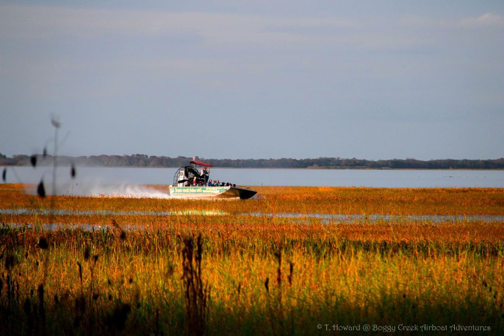부분적으로 흐린 하늘 아래 높은 잔디가 있는 습지가 많은 지역에서는 에어보트가 속도를 냅니다.