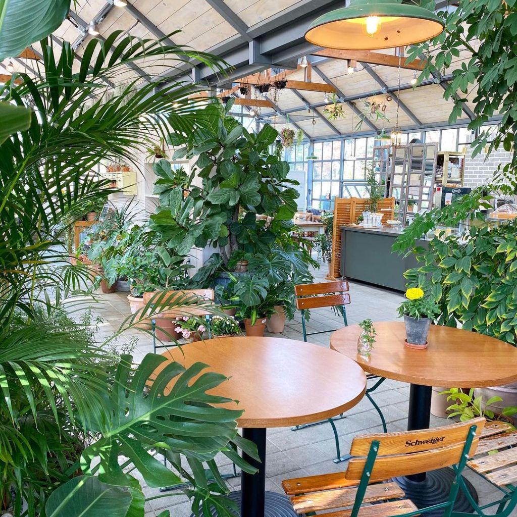 티 하우스 에덴