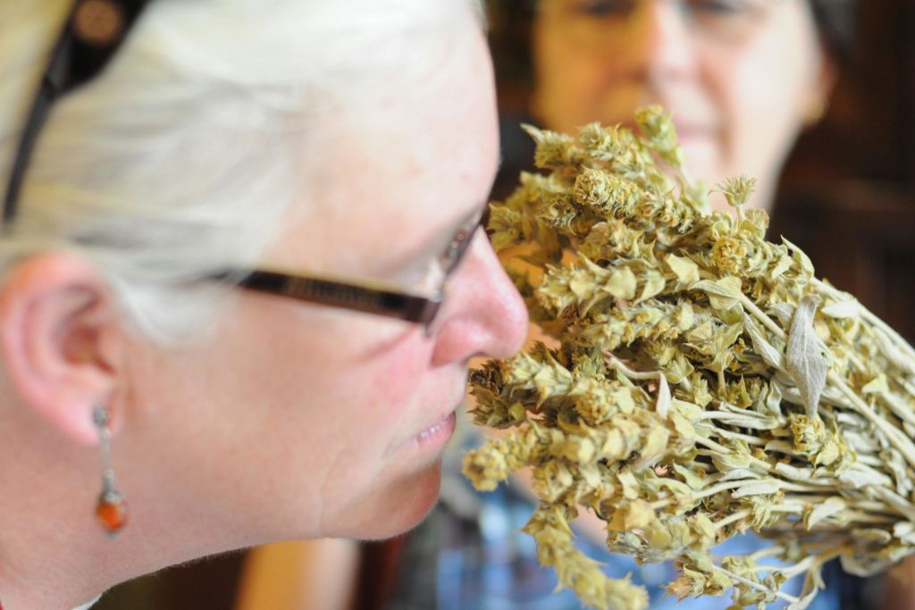 그리스 허브와 향신료 맛보기