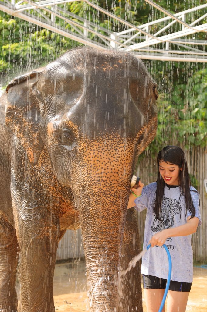 크라비 아오낭 코끼리 보호 캠프(Elephant Sanctuary) 방문 투어