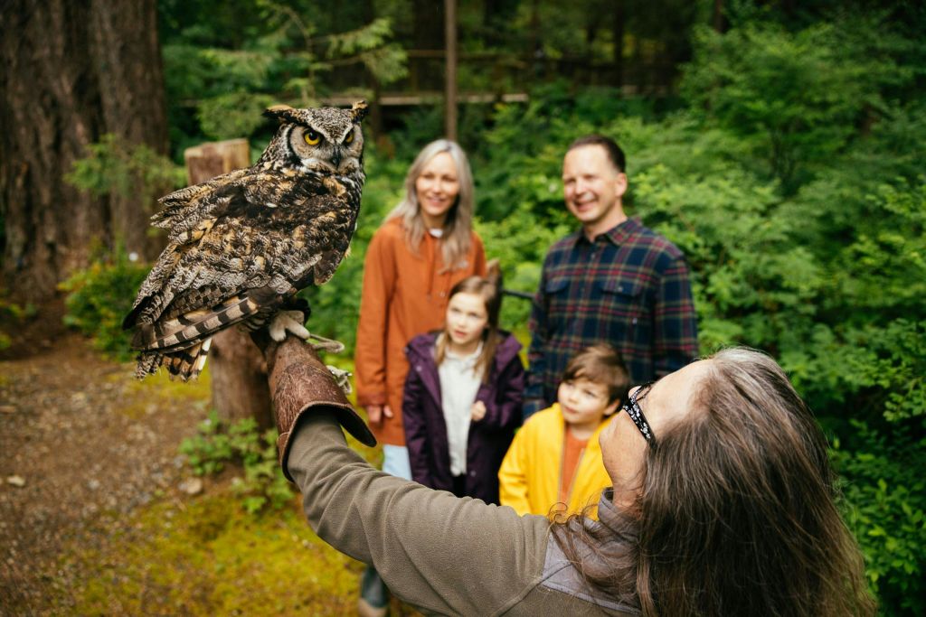 캐필라노 서스펜션 브리지 공원
