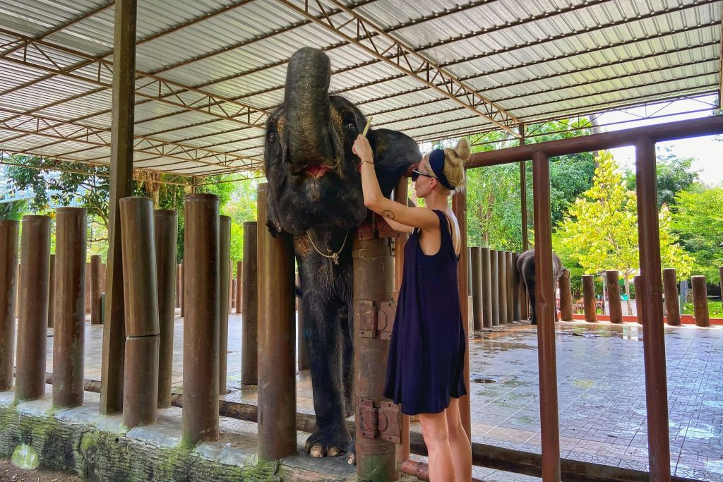 쿠알라간다 코끼리 보호구역 투어 - 공유 투어 - 참여 투어