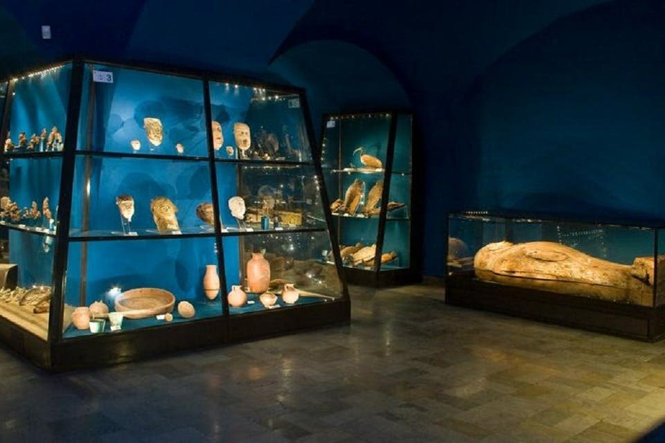 고고학 박물관 - 새로운 제철소 브라니체