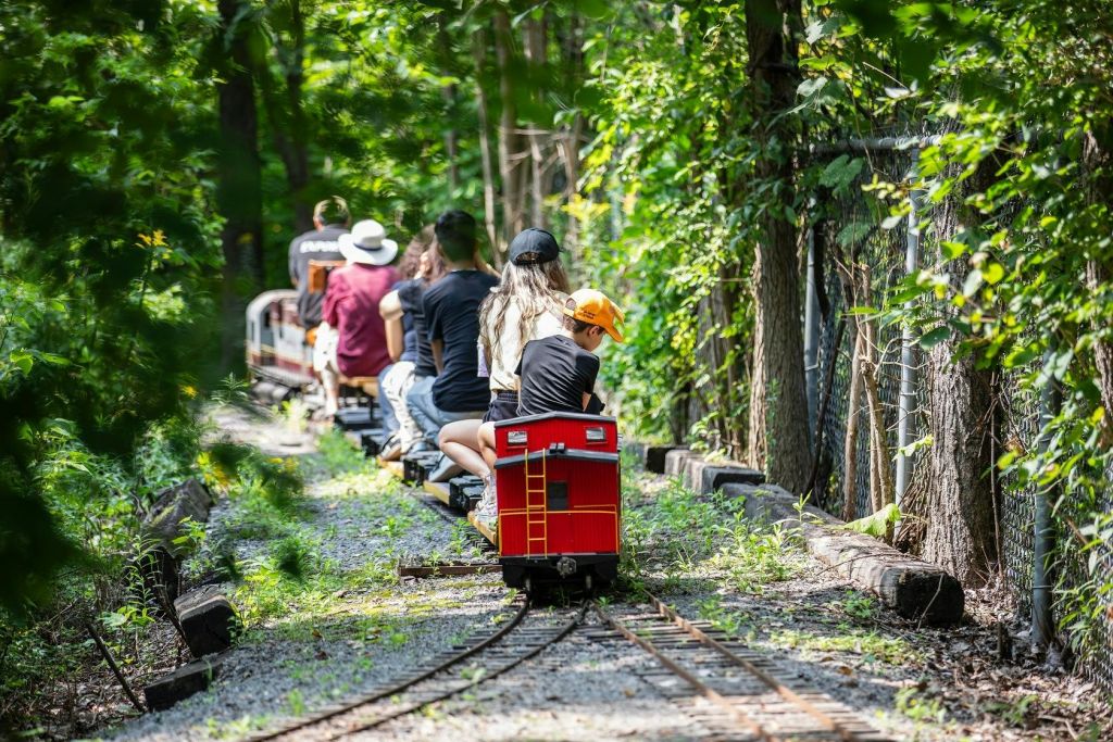 좁은 트랙의 울창하고 푸른 숲을 가로지르는 작은 트레인을 타는 사람들.
