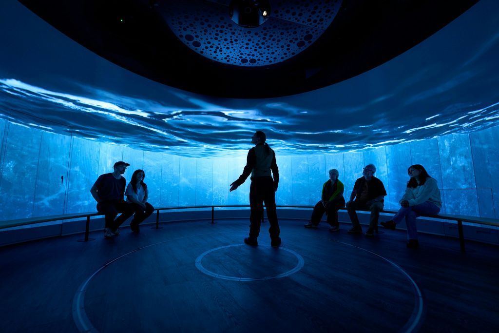 숙성 - 통 채우기 - 실버 및 골드 투어