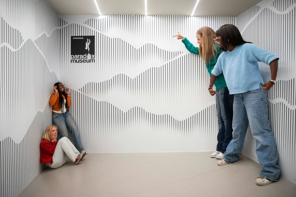 크기가 눈길을 사로잡을 수 있는 멋진 에임스 룸