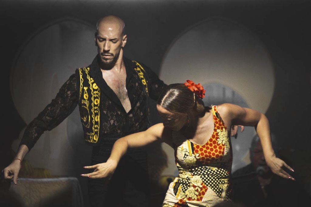 예술가, 플라멩코 무대, 역사 커버,