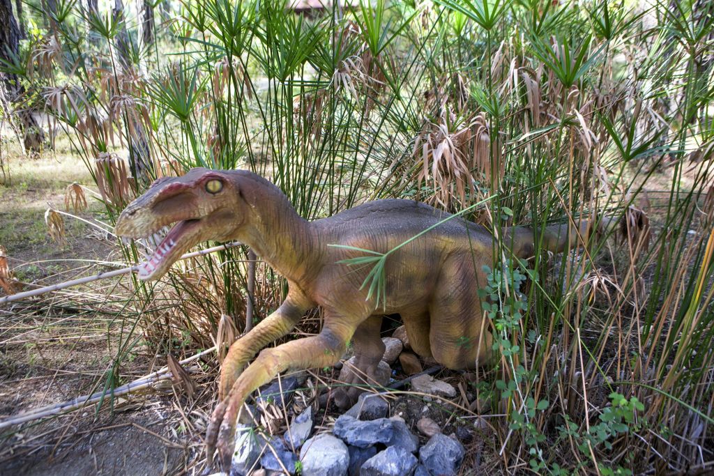 입을 벌리고 날카로운 이빨을 가진 살아있는 듯한 공룡 조각상으로, 야외 환경에서 키가 큰 식물과 바위 사이에 자리잡고 있습니다.
