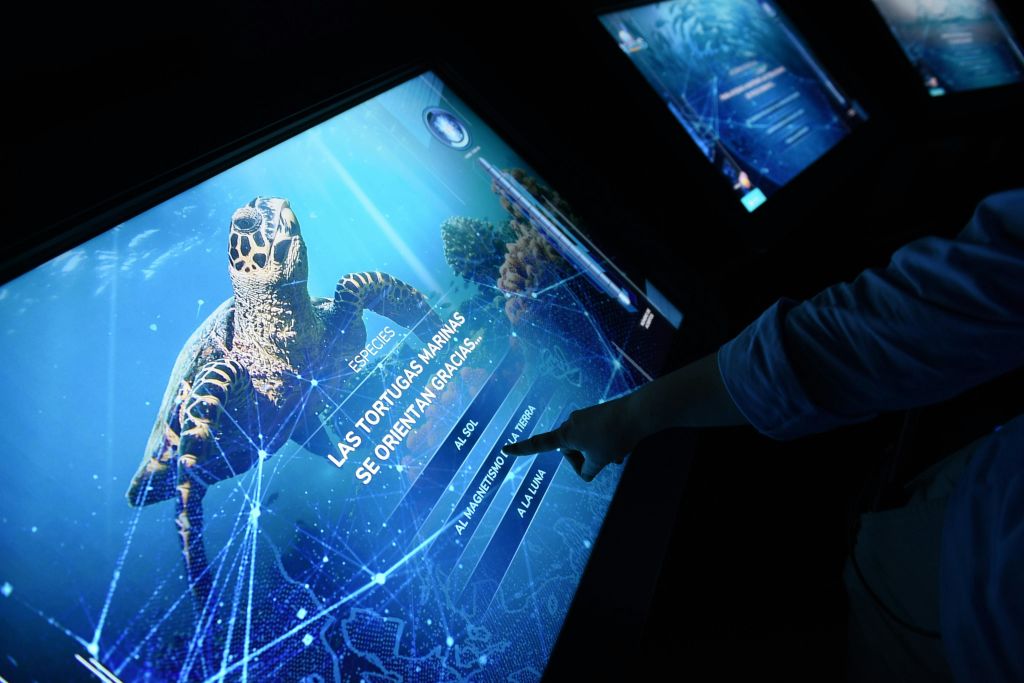 아틀란티스아쿠아리움