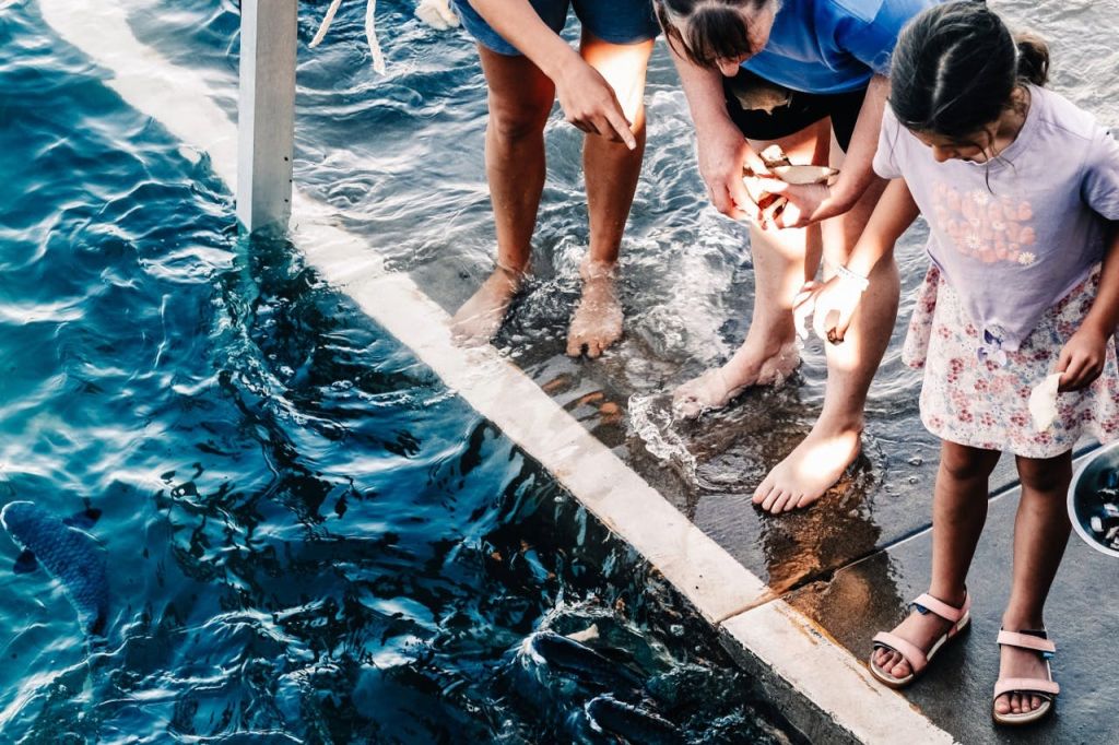 수영장 옆의 젖은 포장도로에서 맨발로 물가 가장자리에 기대어 물고기를 먹이고 있습니다.