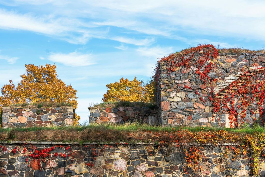 가을 나무와 부분적으로 흐린 푸른 하늘을 배경으로 잔디와 붉은 담쟁이가 자라는 오래된 석조 유적지.