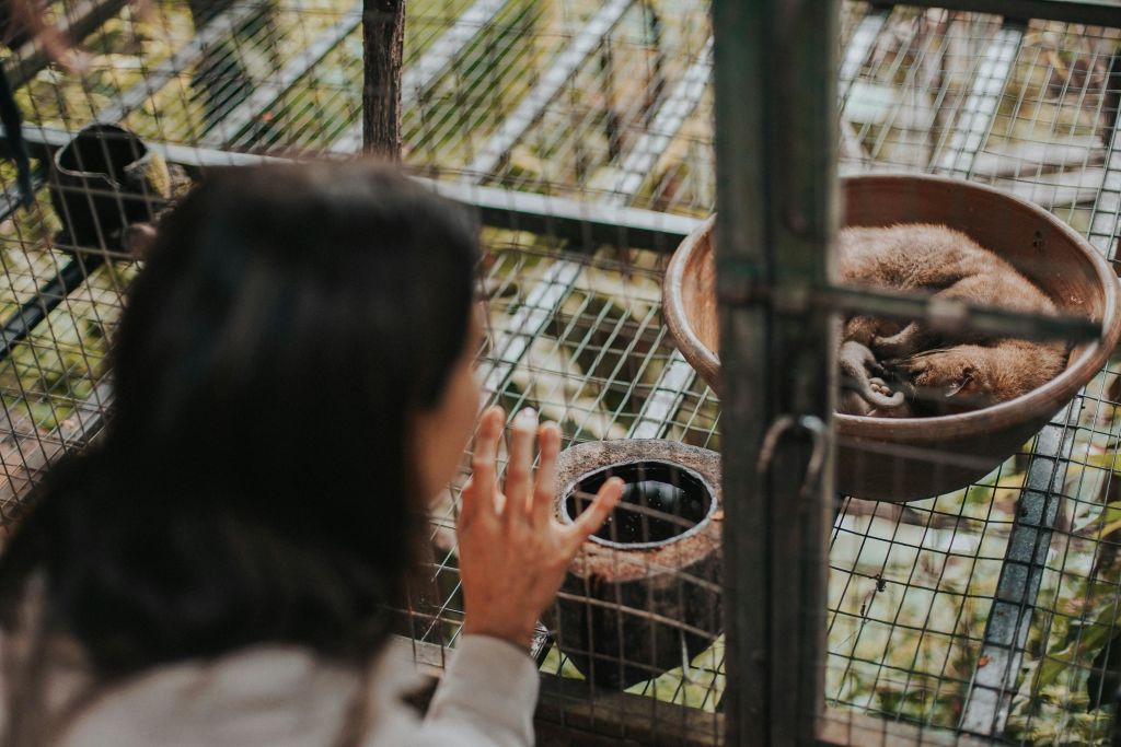 테갈랄랑 우붓 발리에서 즐기는 알라스하룸 농경 투어