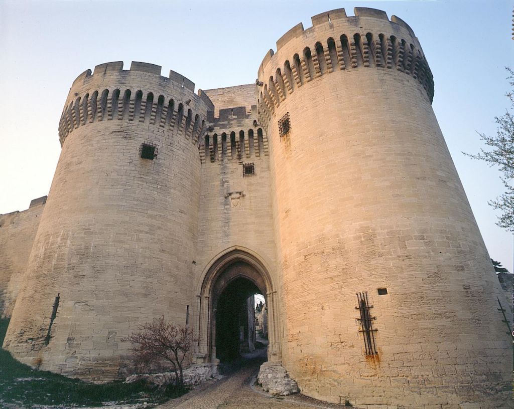 두 개의 커다란 둥근 탑, 아치형 입구, 작은 창문, 앞에 나무가 있는 석조 성.
