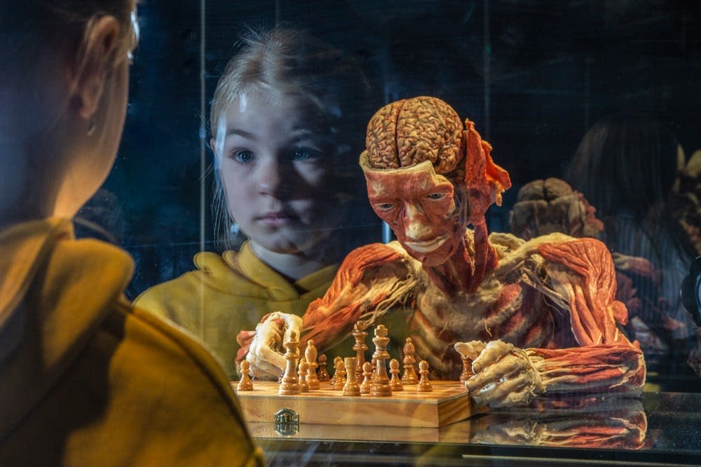 체스 플레이어 플라스틱