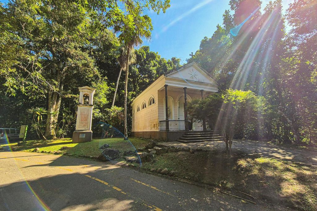 지프 타고 즐기는 열대우림 투어