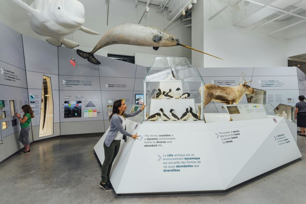 캐나다 자연 박물관