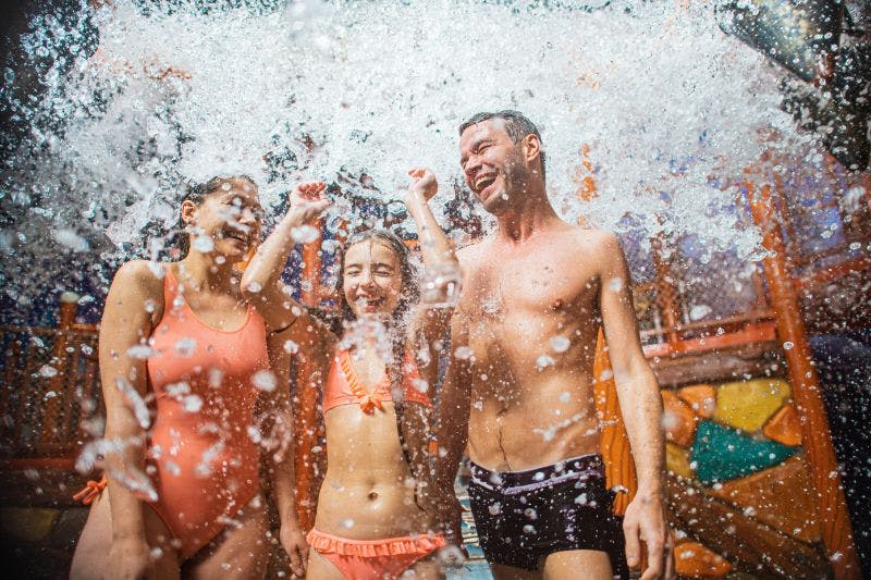 플롭사우카드판