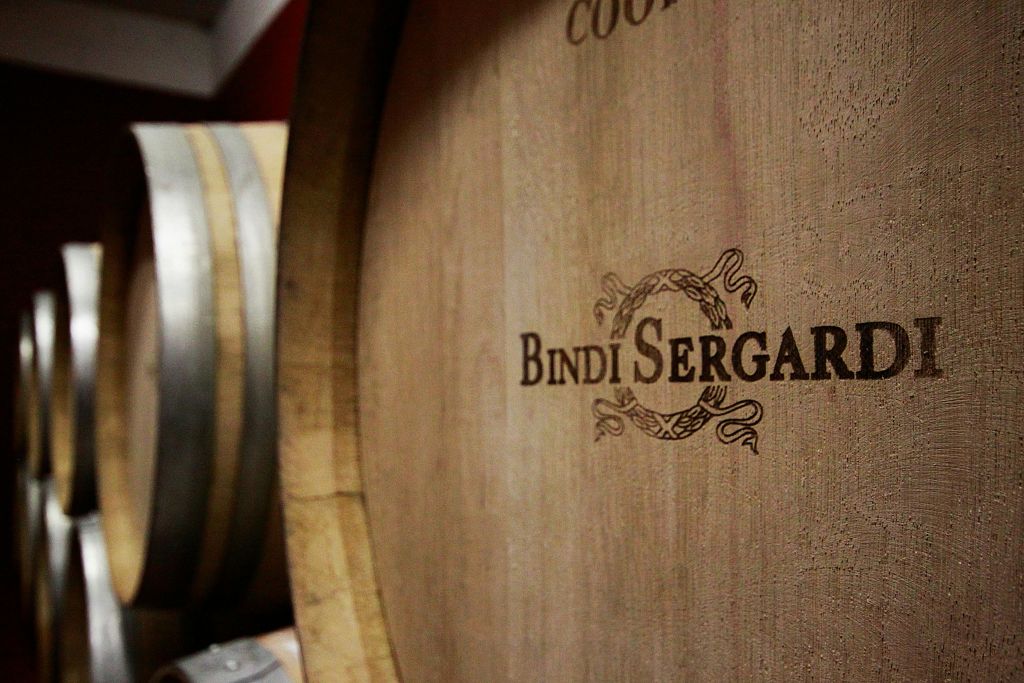 빈디 세르가르디 열정