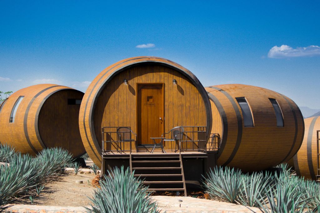 호세쿠에르보 테킬라 증류소 투어