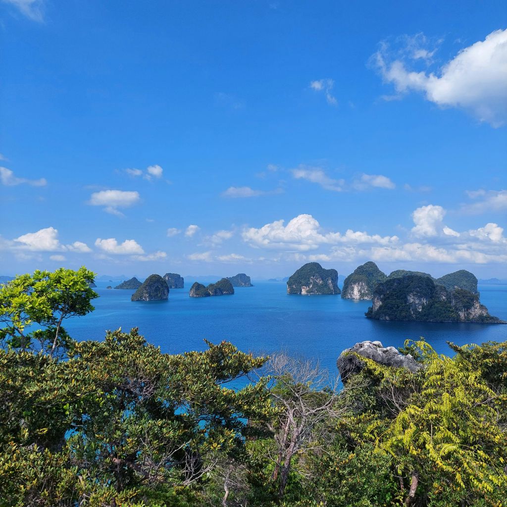 푸른 하늘 아래 작고 바위투성이의 섬들이 있는 청록색 바다가 내려다보입니다. 전경에는 녹색, 무성한 단풍과 수풀이 포함됩니다.