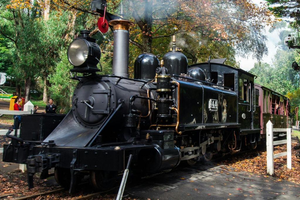 퍼핑빌리 & 힐스빌 보호구역 관광 버스 투어