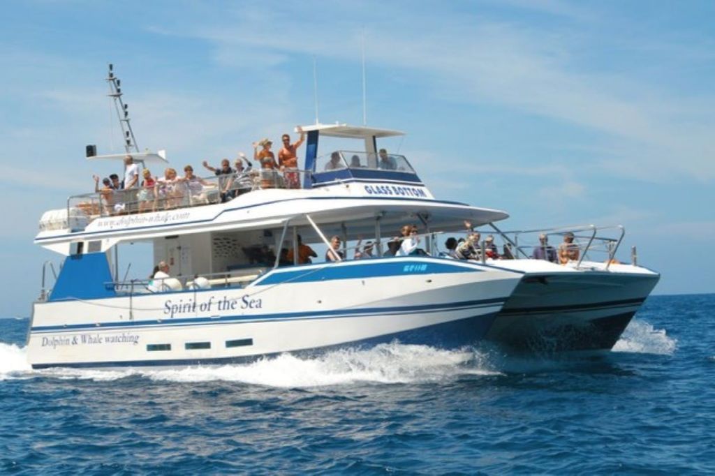 El Spirit of the Sea cuenta con un fondo de cristal desde donde podrás observar el fondo marino