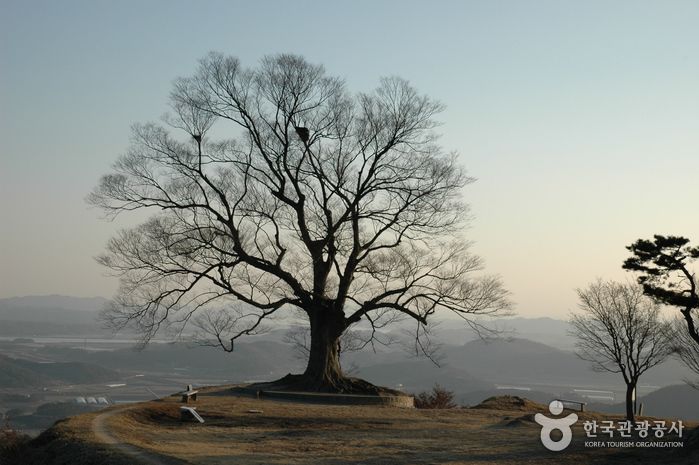 성흥산성