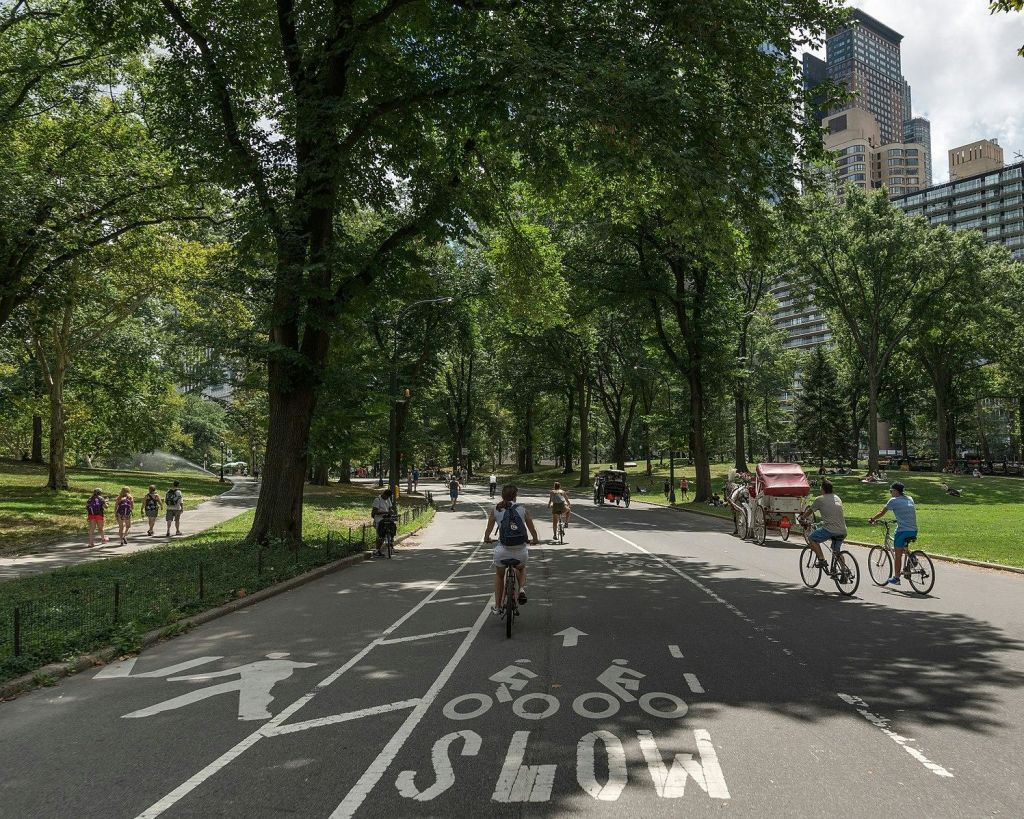 도시의 스카이라인을 배경으로 높은 나무 사이를 걷고 자전거를 타는 사람들이 있는 공원 통로입니다.