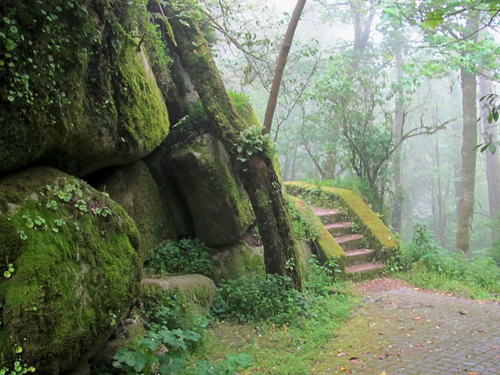 이끼로 덮인 바위와 울창한 녹음으로 둘러싸인 석조 계단으로 이어지는 안개 낀 숲길.
