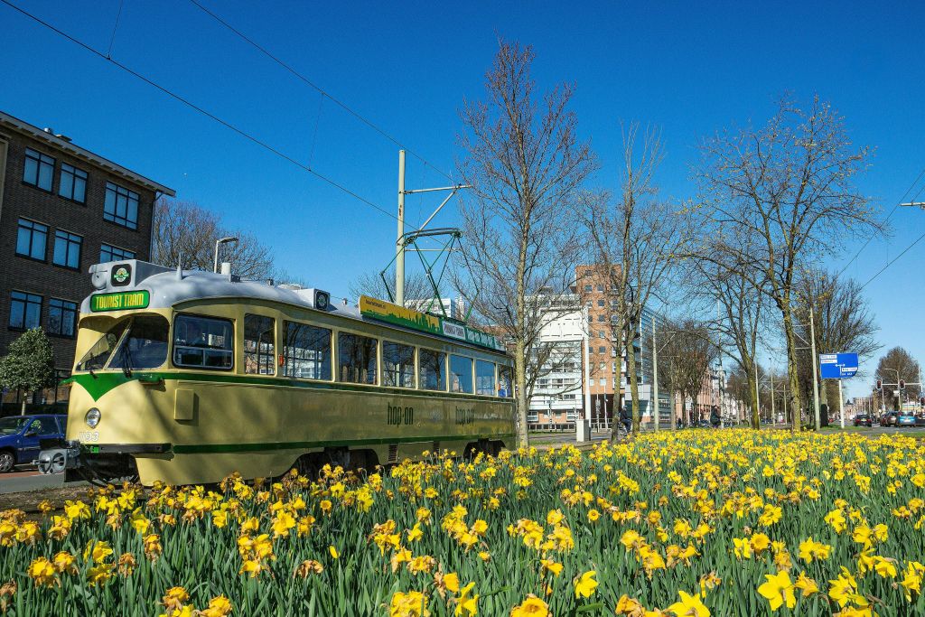 자유롭게 승하차 가능한 트램