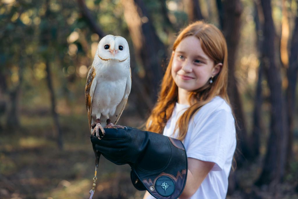 VIP 올빼미와의 만남