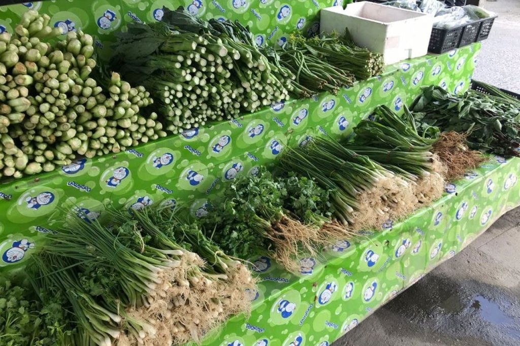 시장을 거닐며 신선한 채소를 골라보세요.