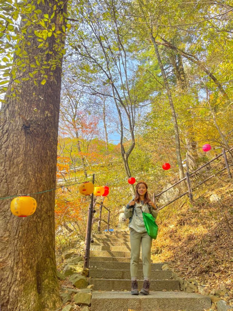 평창 오대산 국립공원(2권역)