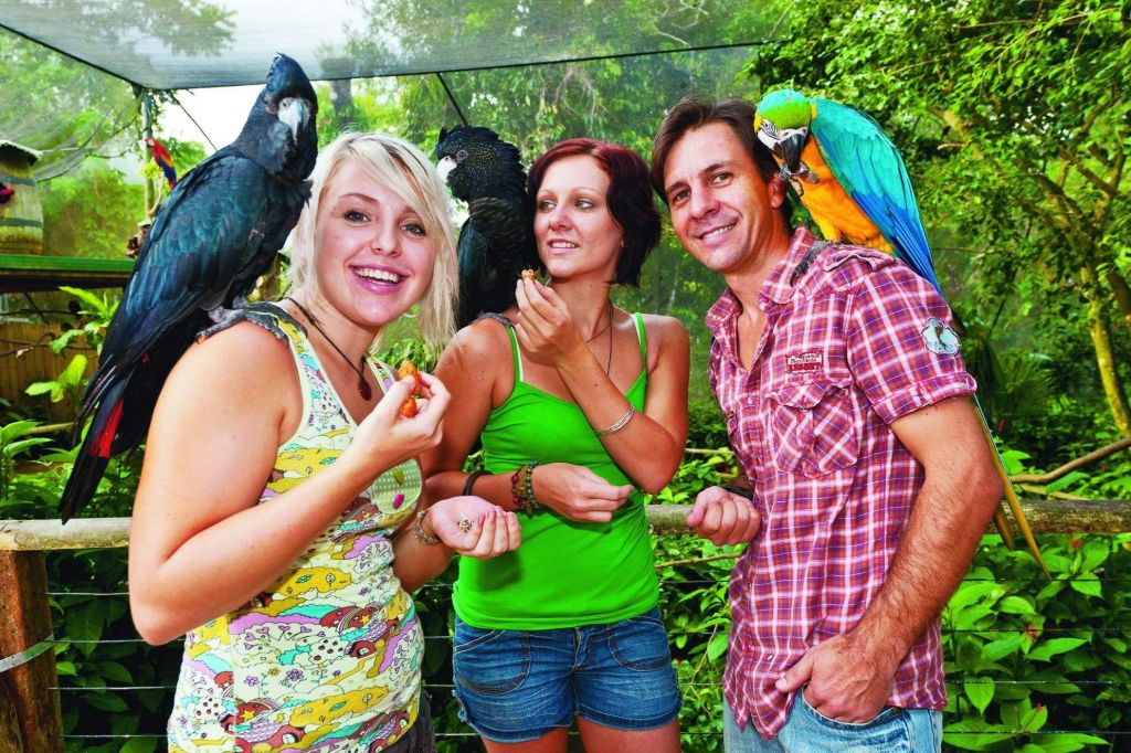 버드월드 쿠란다