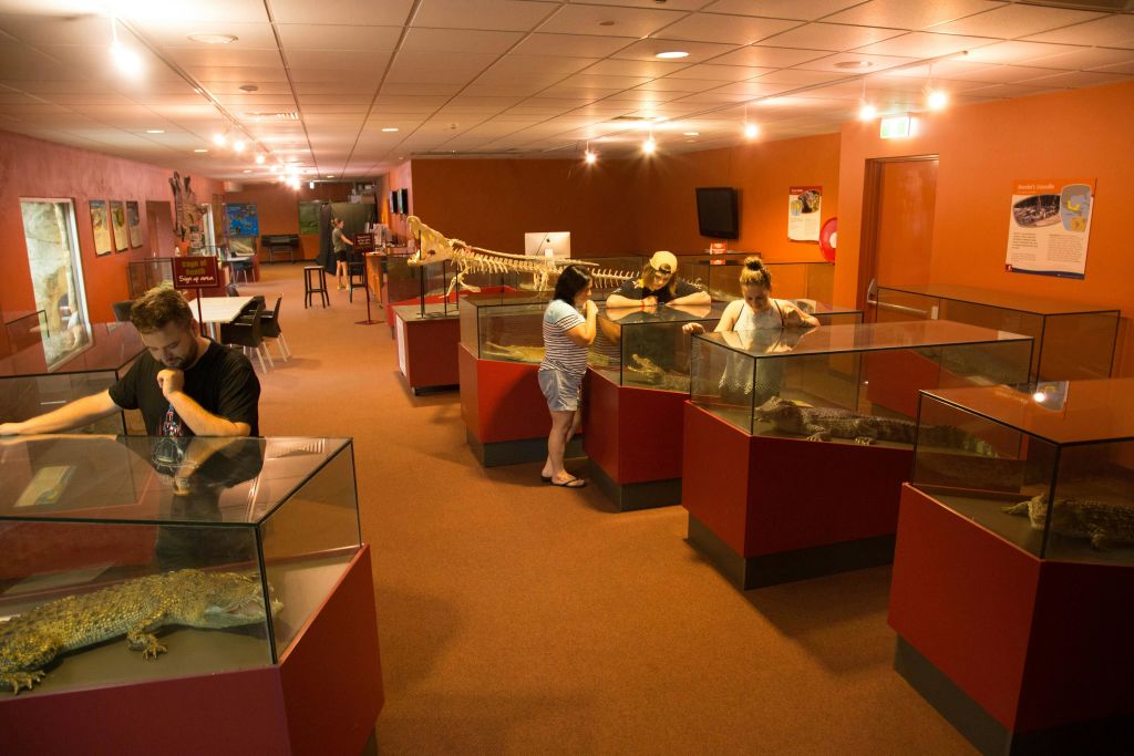 유리 케이스와 커다란 공룡 해골을 배경으로 조명이 희미한 박물관에서 전시를 관람하는 사람들.