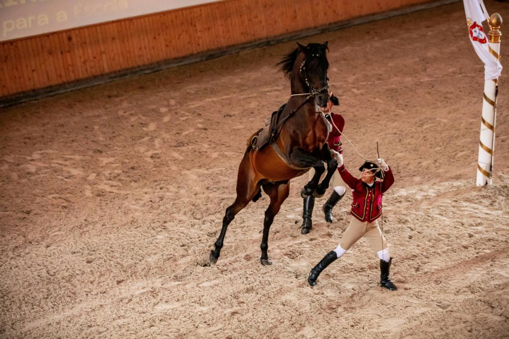 신트라 공원 - 몬테스다루아